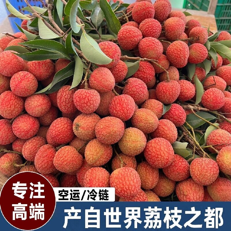 【京东冷链】广东茂名高州白糖罂荔枝新鲜水果礼盒净重5/10斤 全国包邮：新疆、西藏不发